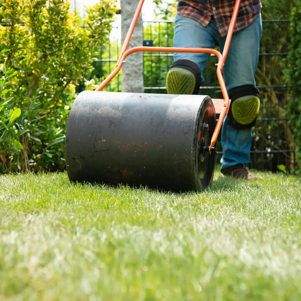 Huur Tuinwals per dag