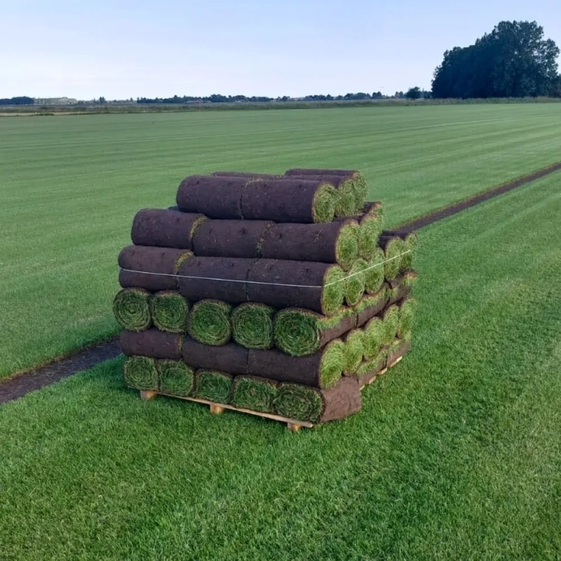 graszoden-grasrol-grasmatten-klaver-graszoden-premium-schaduw-twisk-noord-holland-mooi-gazon-dicht-gras