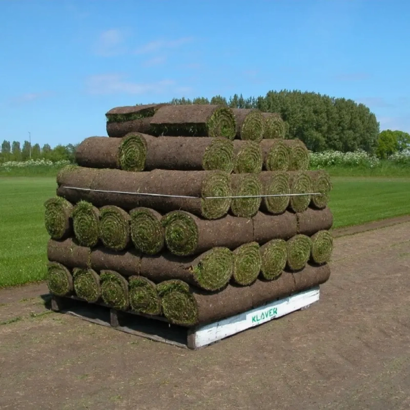 graszoden-grasrol-grasmatten-klaver-graszoden-premium-schaduw-twisk-noord-holland-pallet-gras-groen